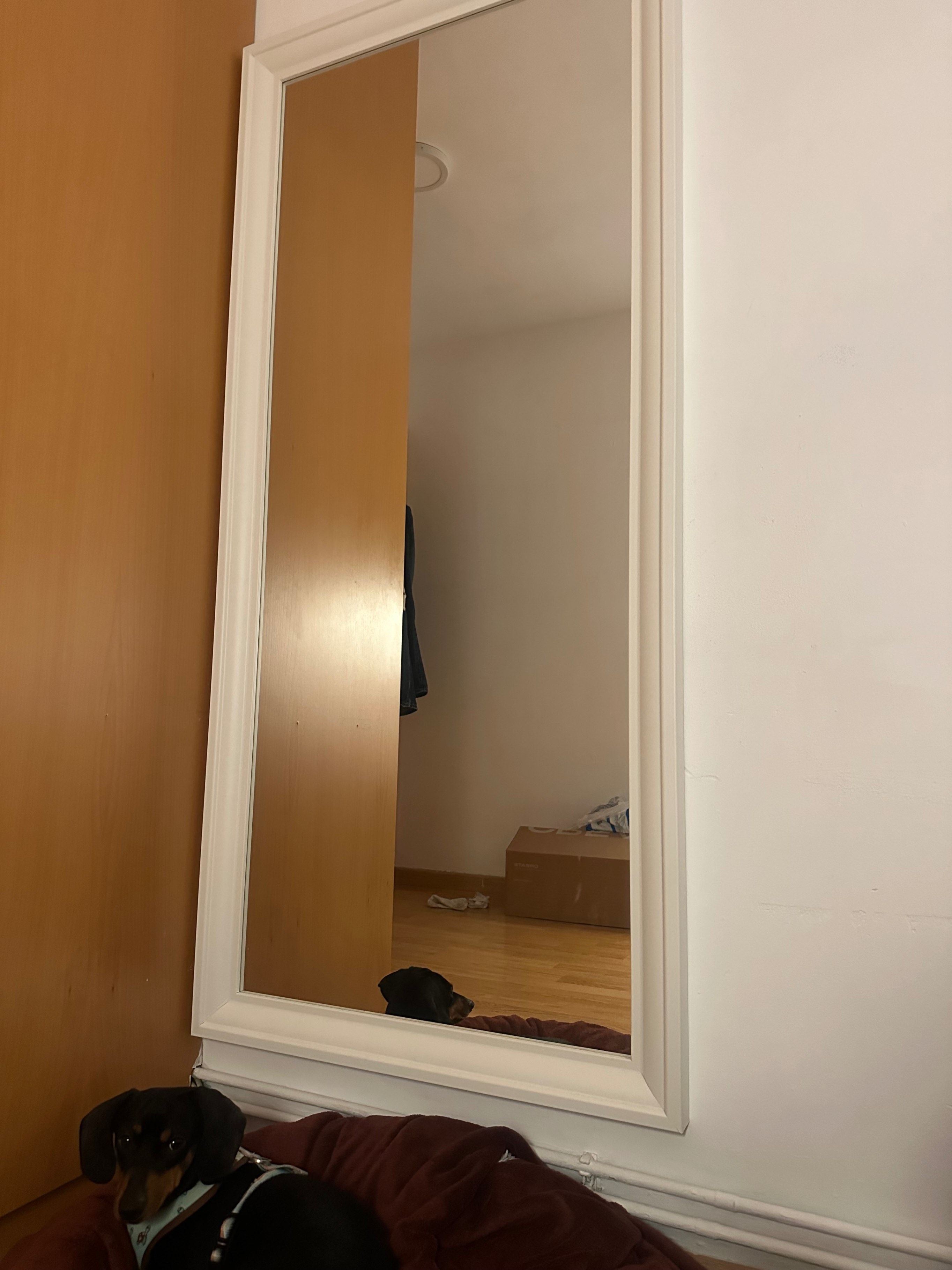 Foto do vendedor