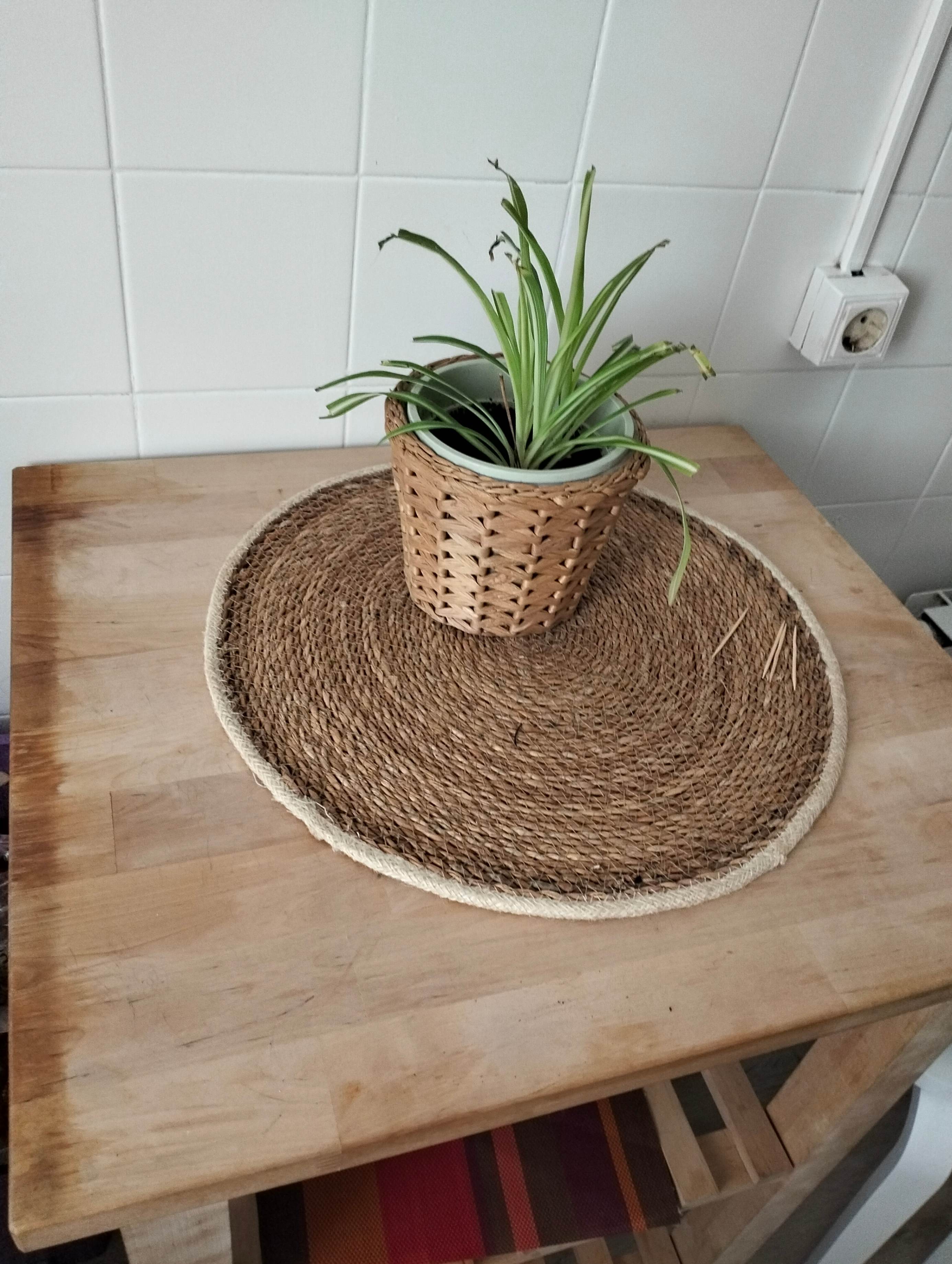 Seller photo