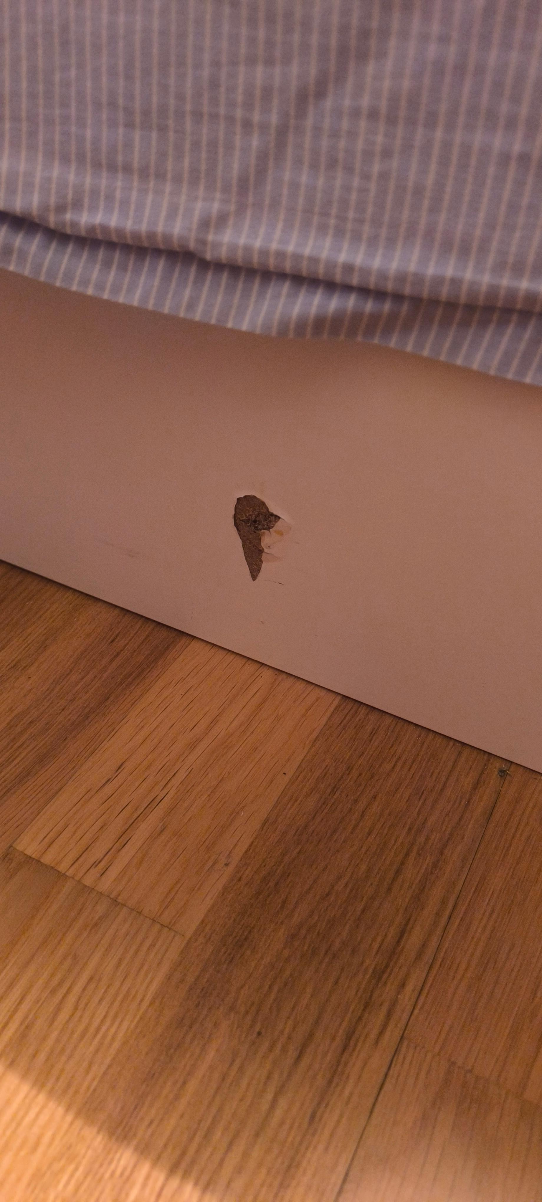 Seller photo