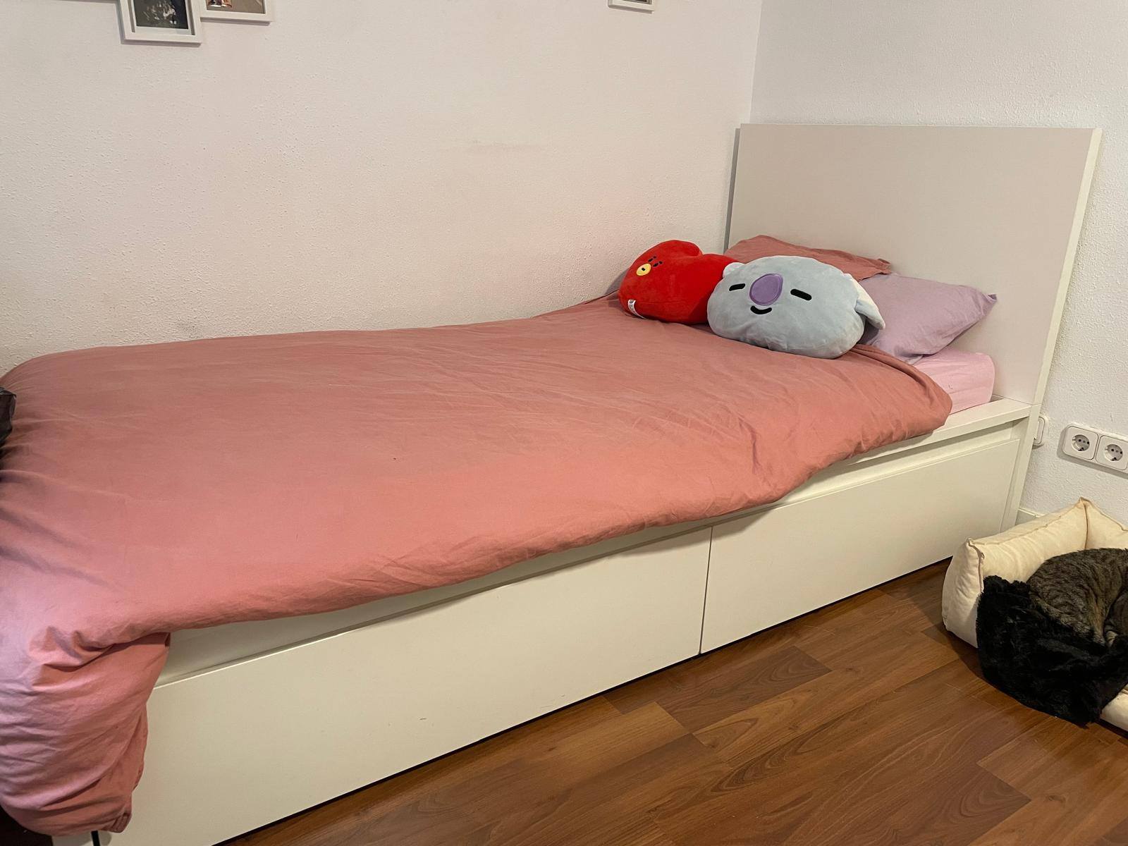 Seller photo