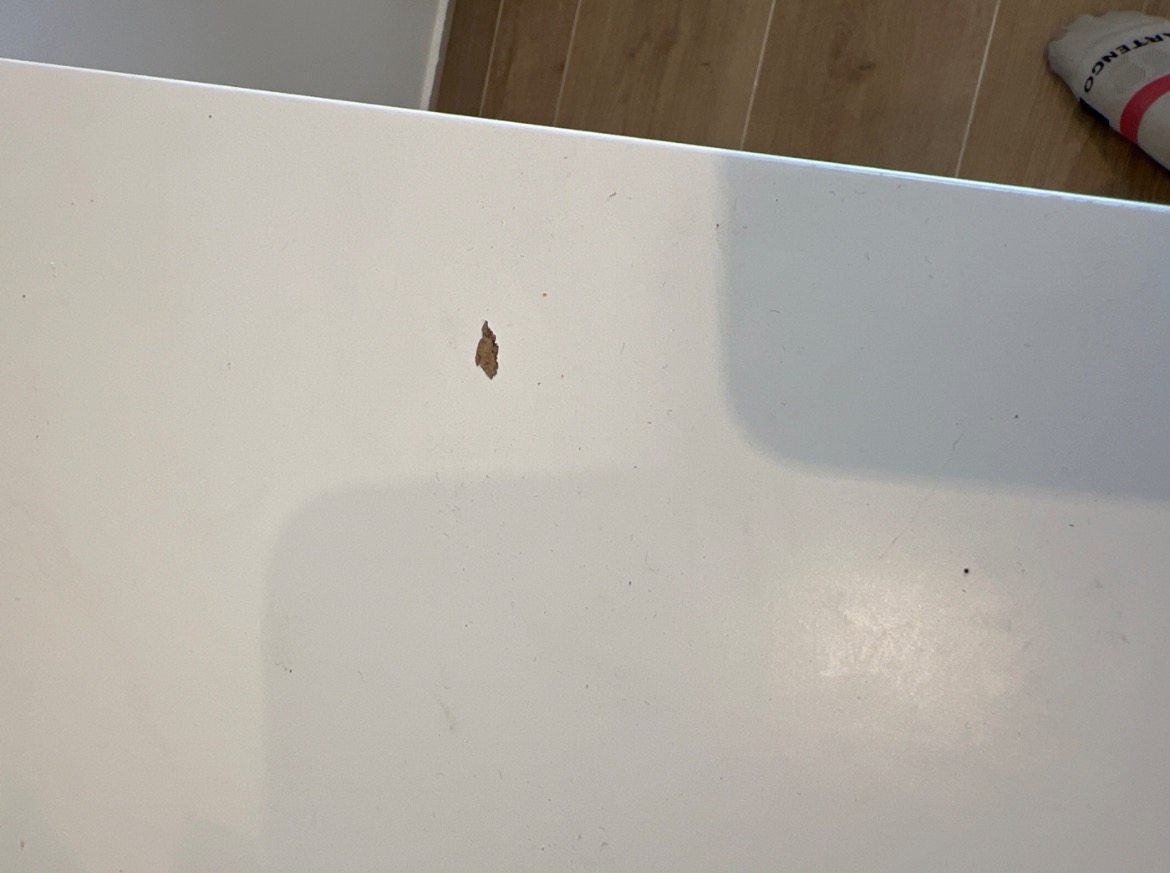 Seller photo