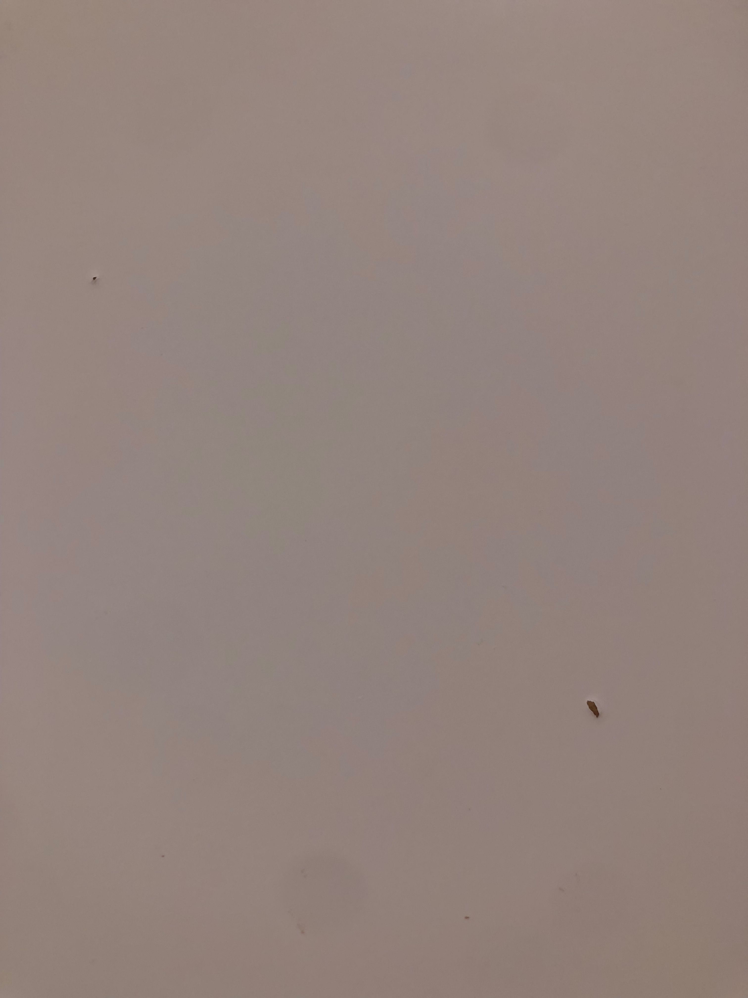 Fotografia del venedor
