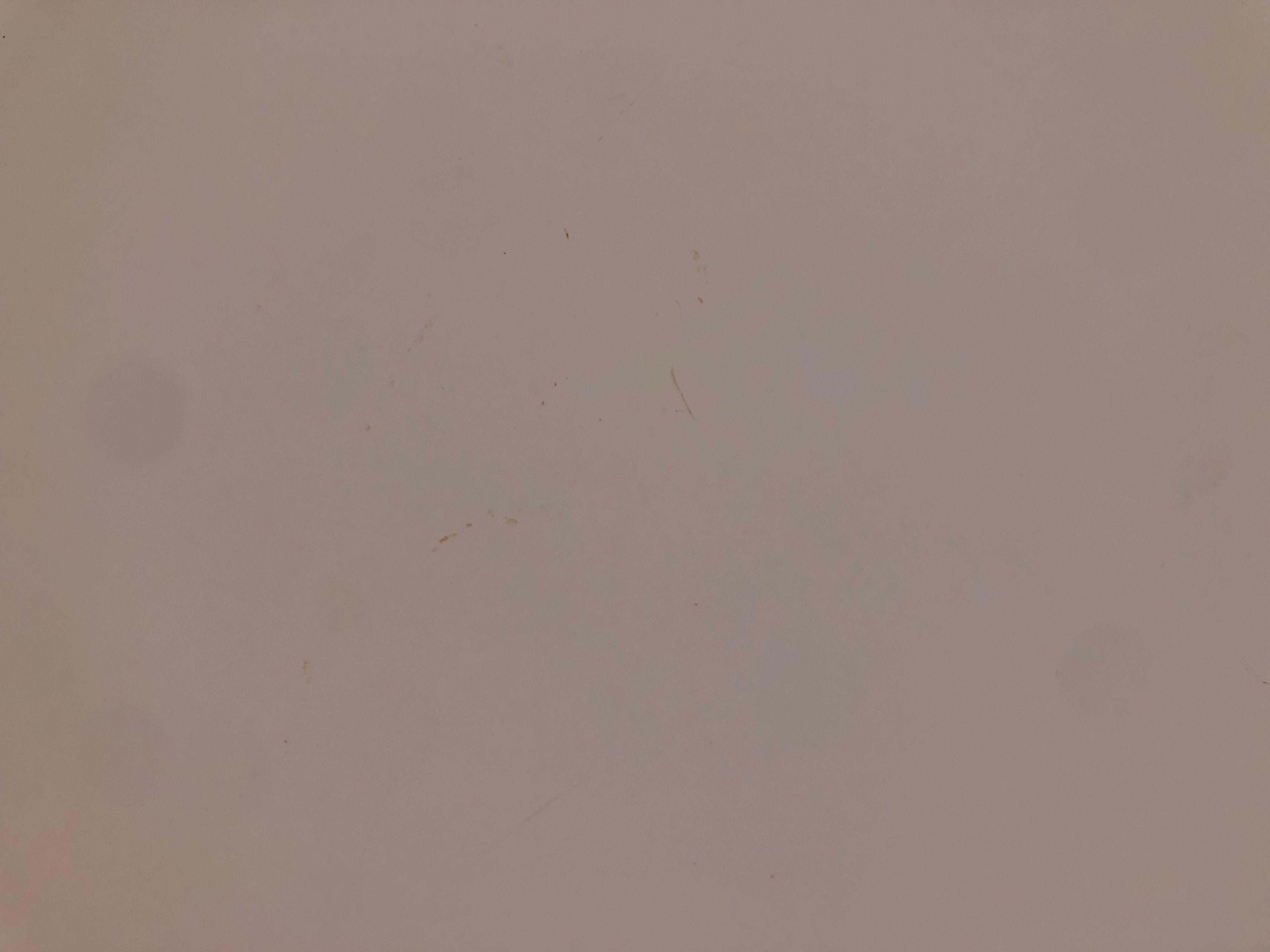 Fotografia del venedor