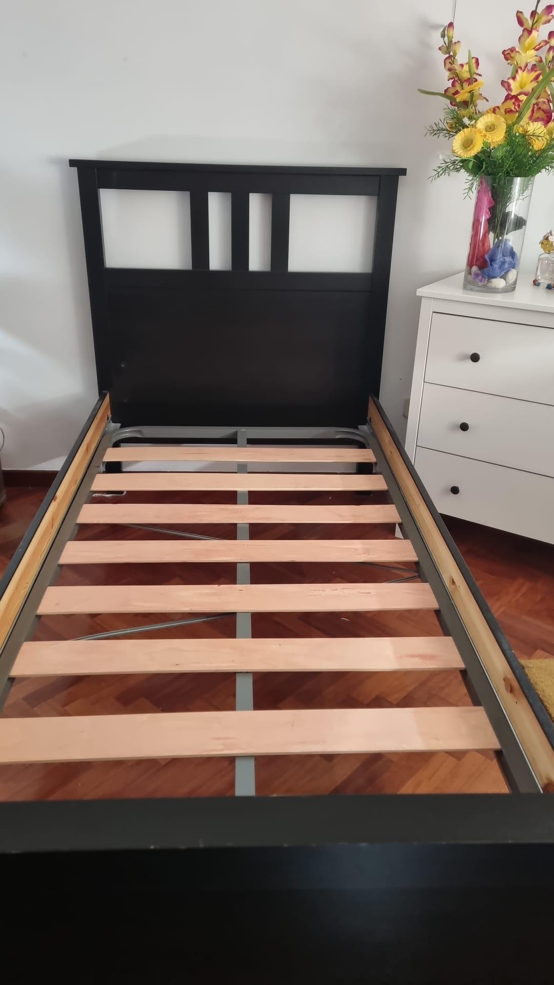 Foto do vendedor
