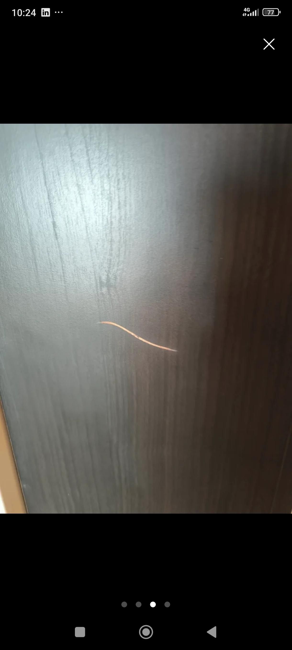 Seller photo