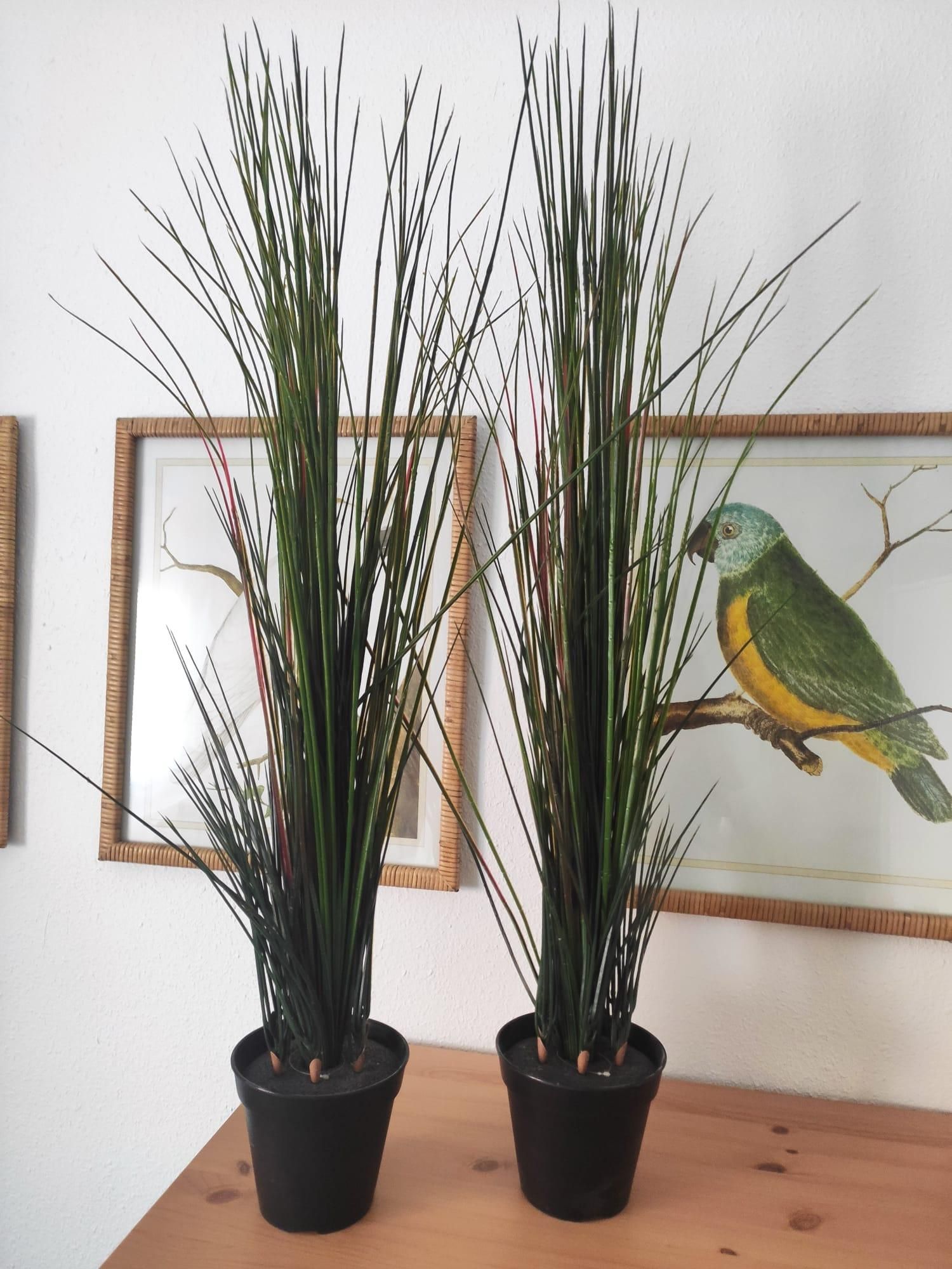 Fotografia del venedor