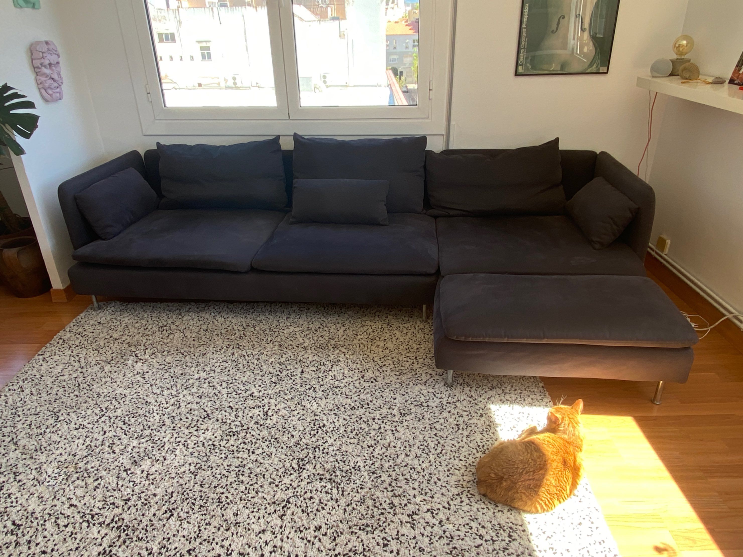 Seller photo