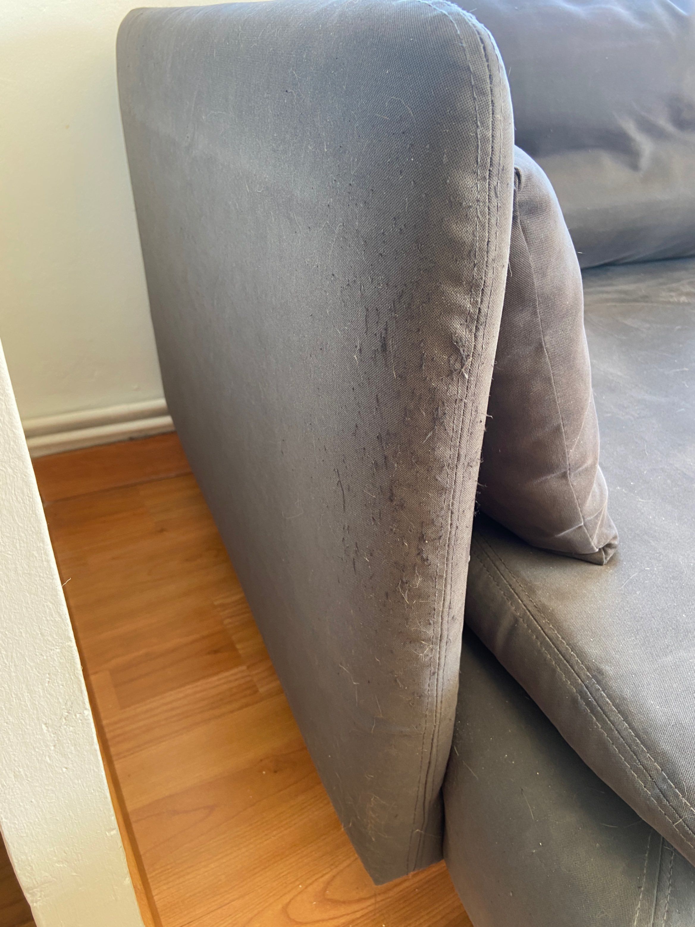 Seller photo