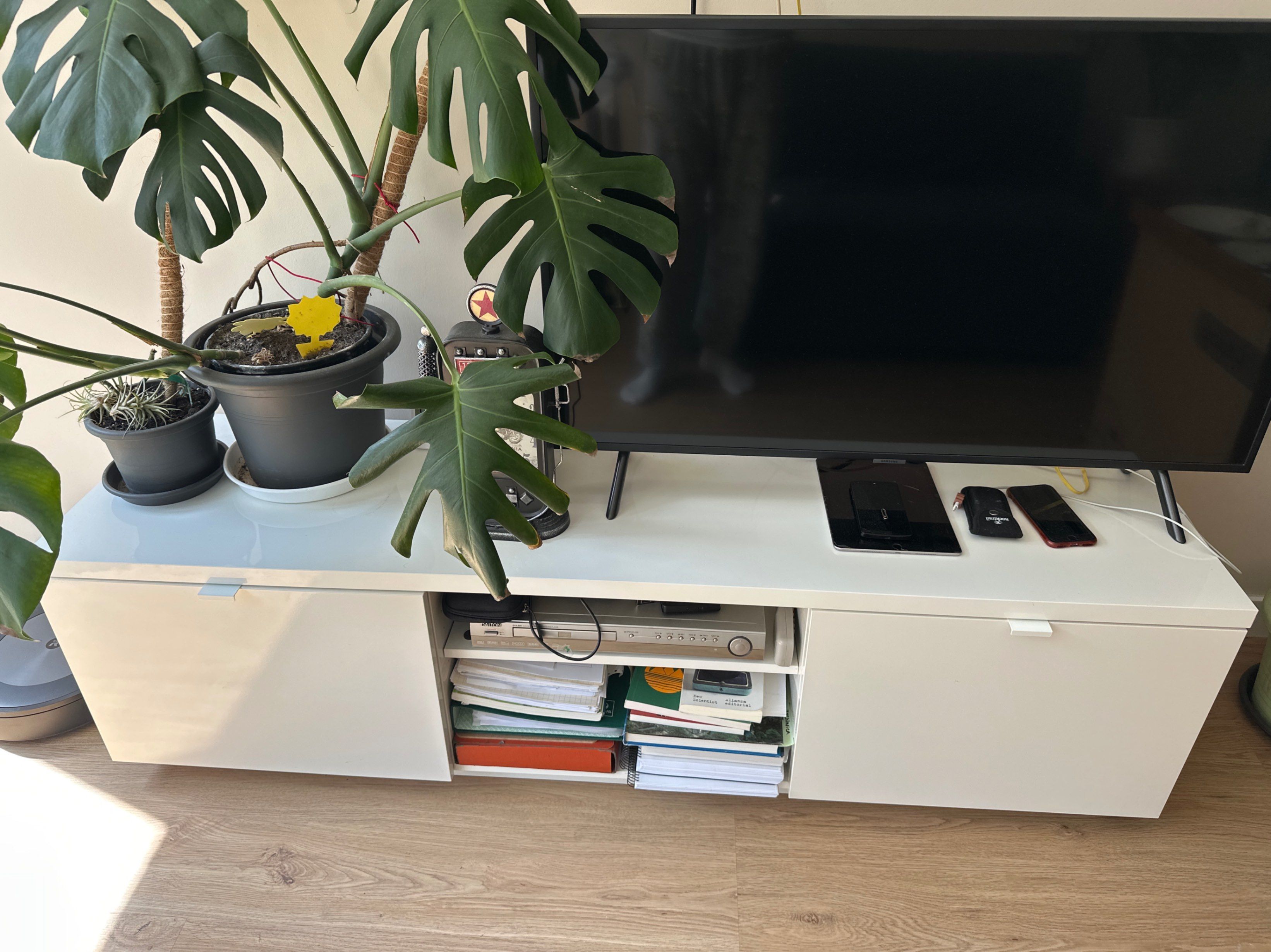 Seller photo