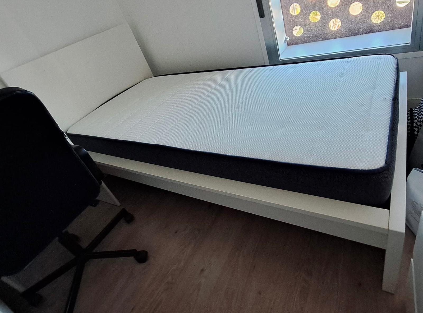 Foto del vendedor