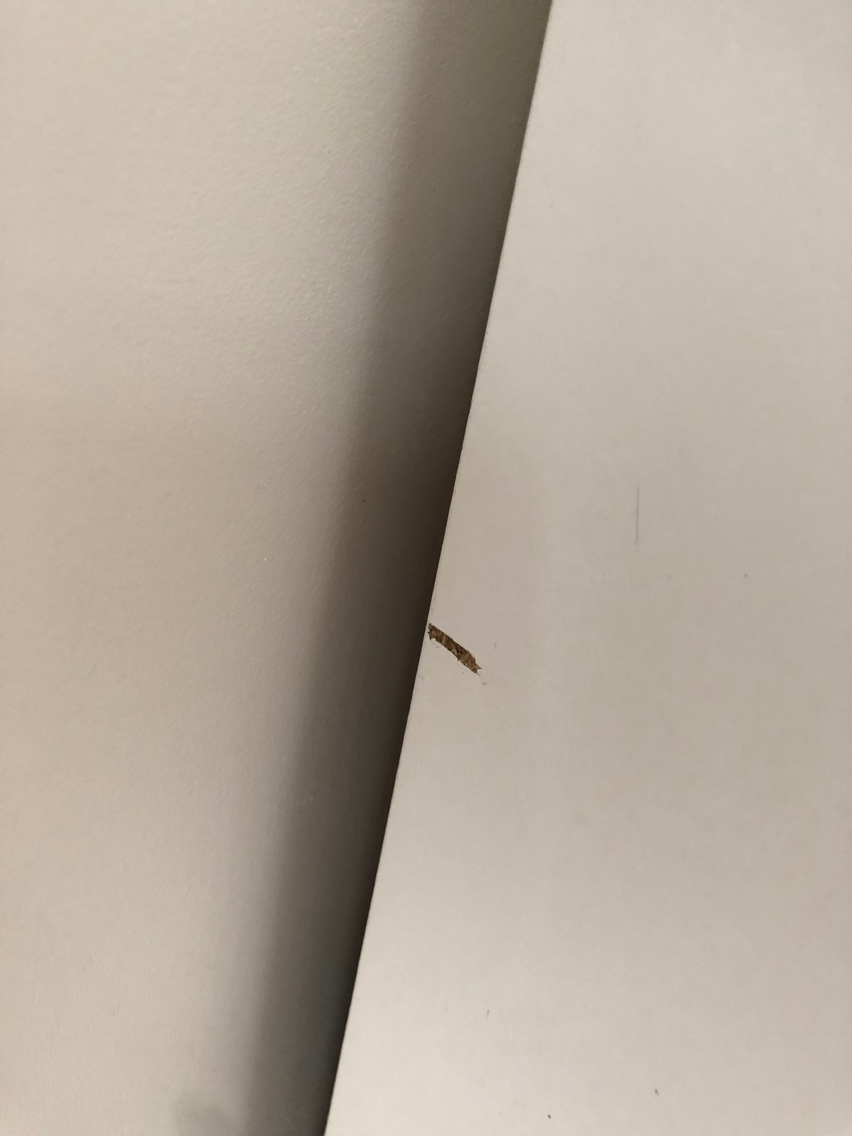 Saltzailearen argazkia