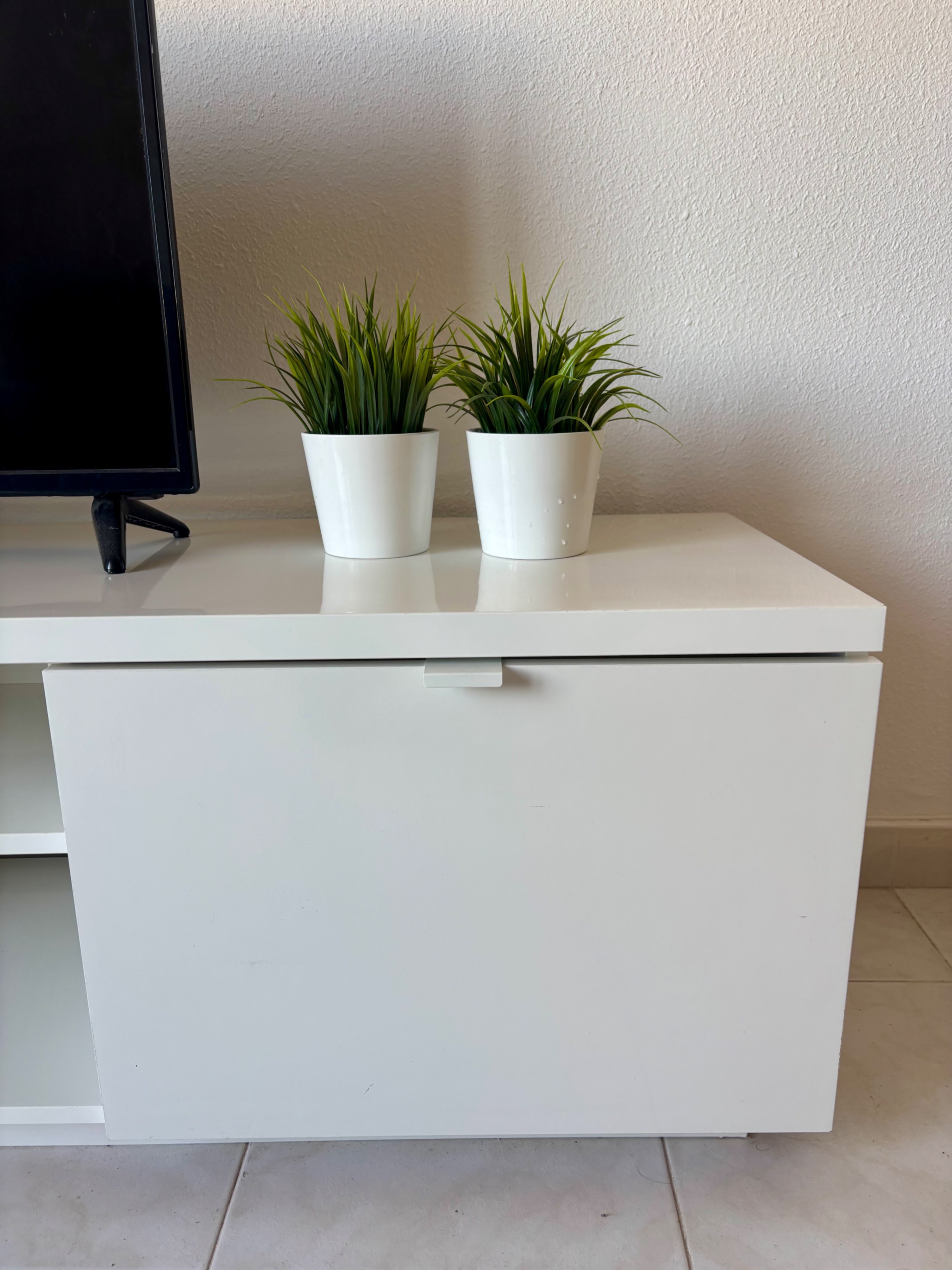 Foto del vendedor