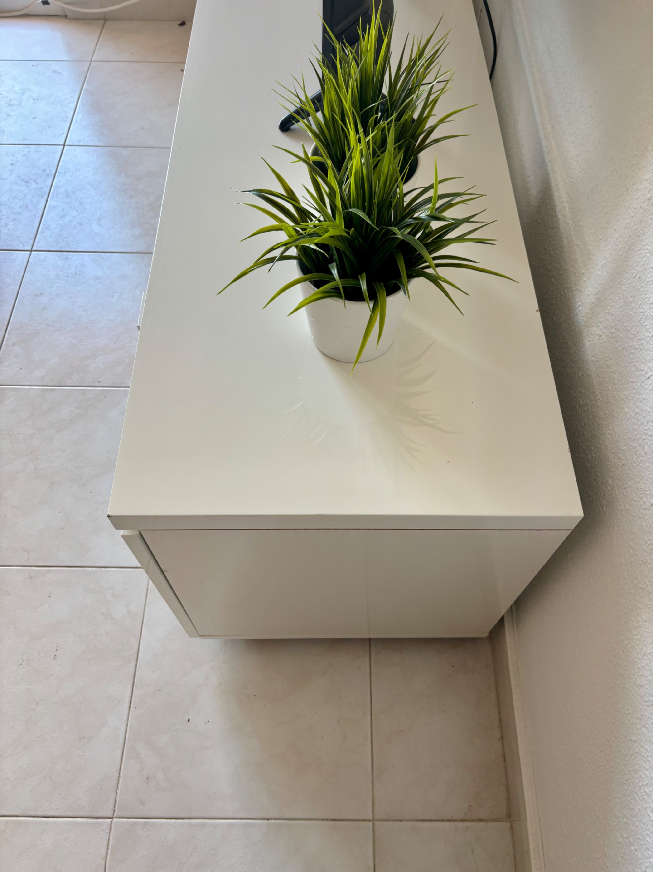 Foto del vendedor