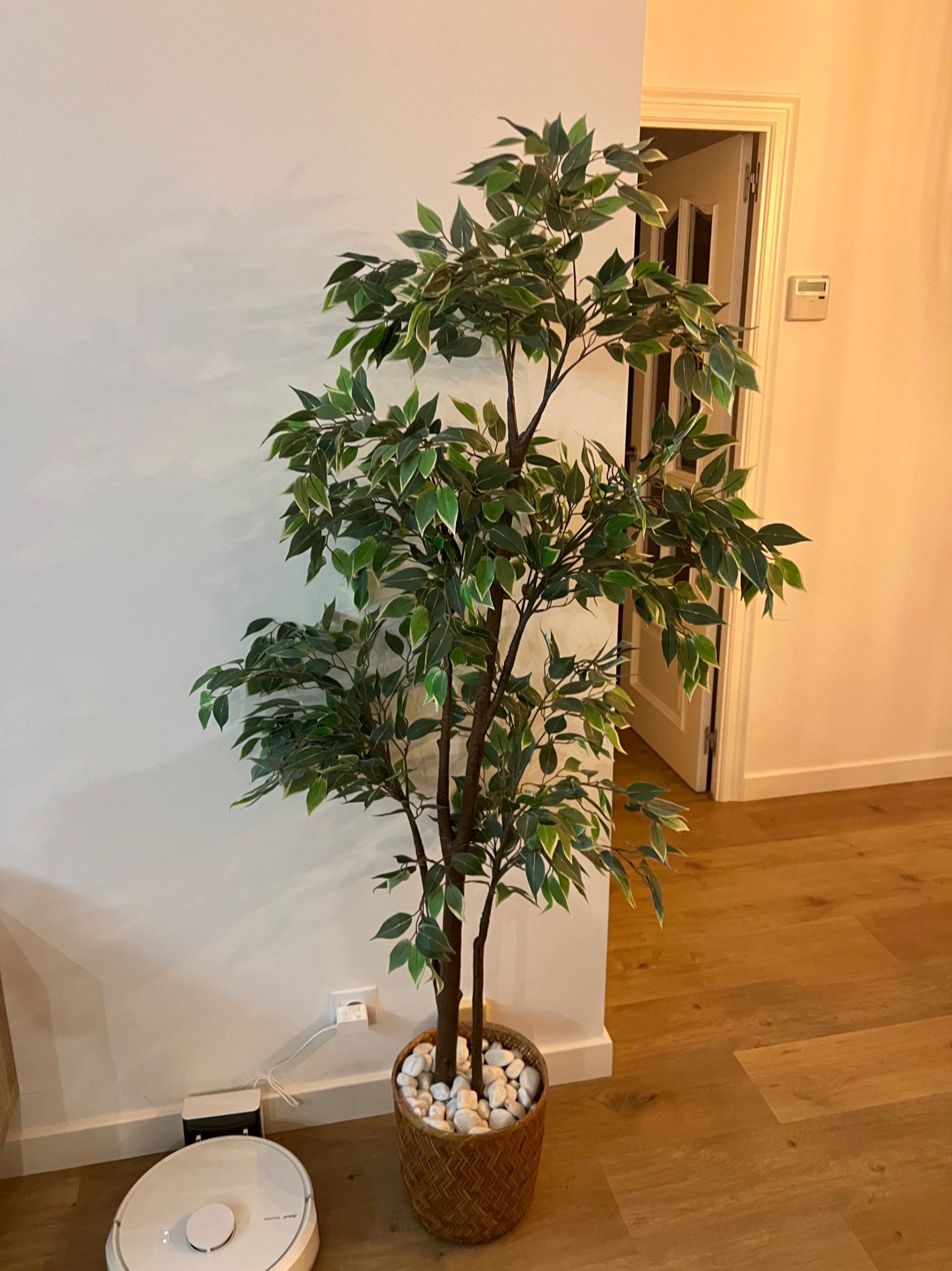 Saltzailearen argazkia