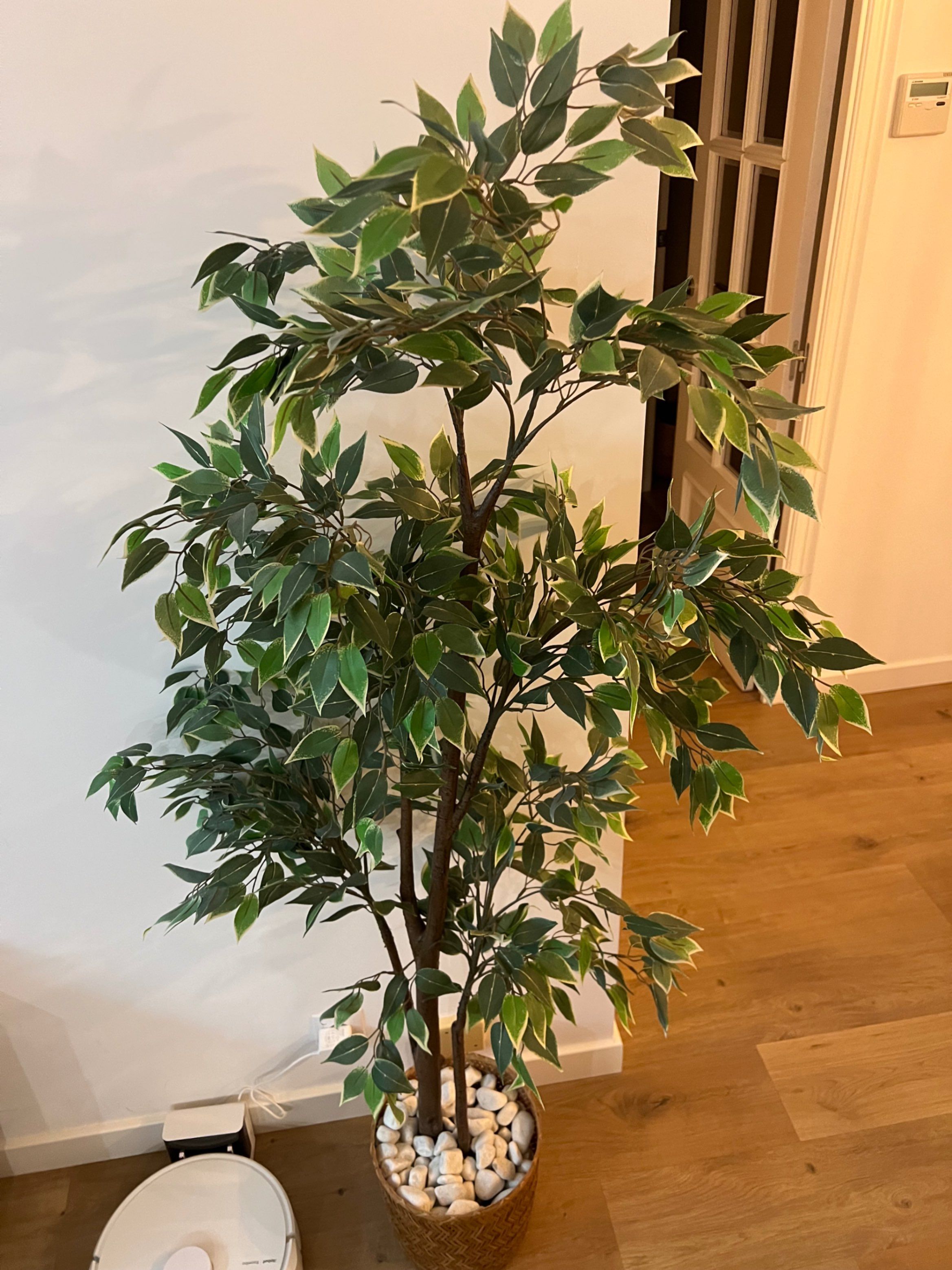 Saltzailearen argazkia