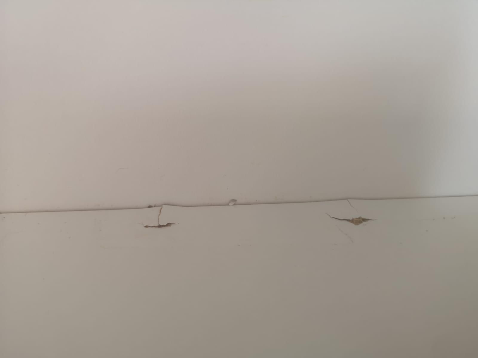 Fotografia del venedor