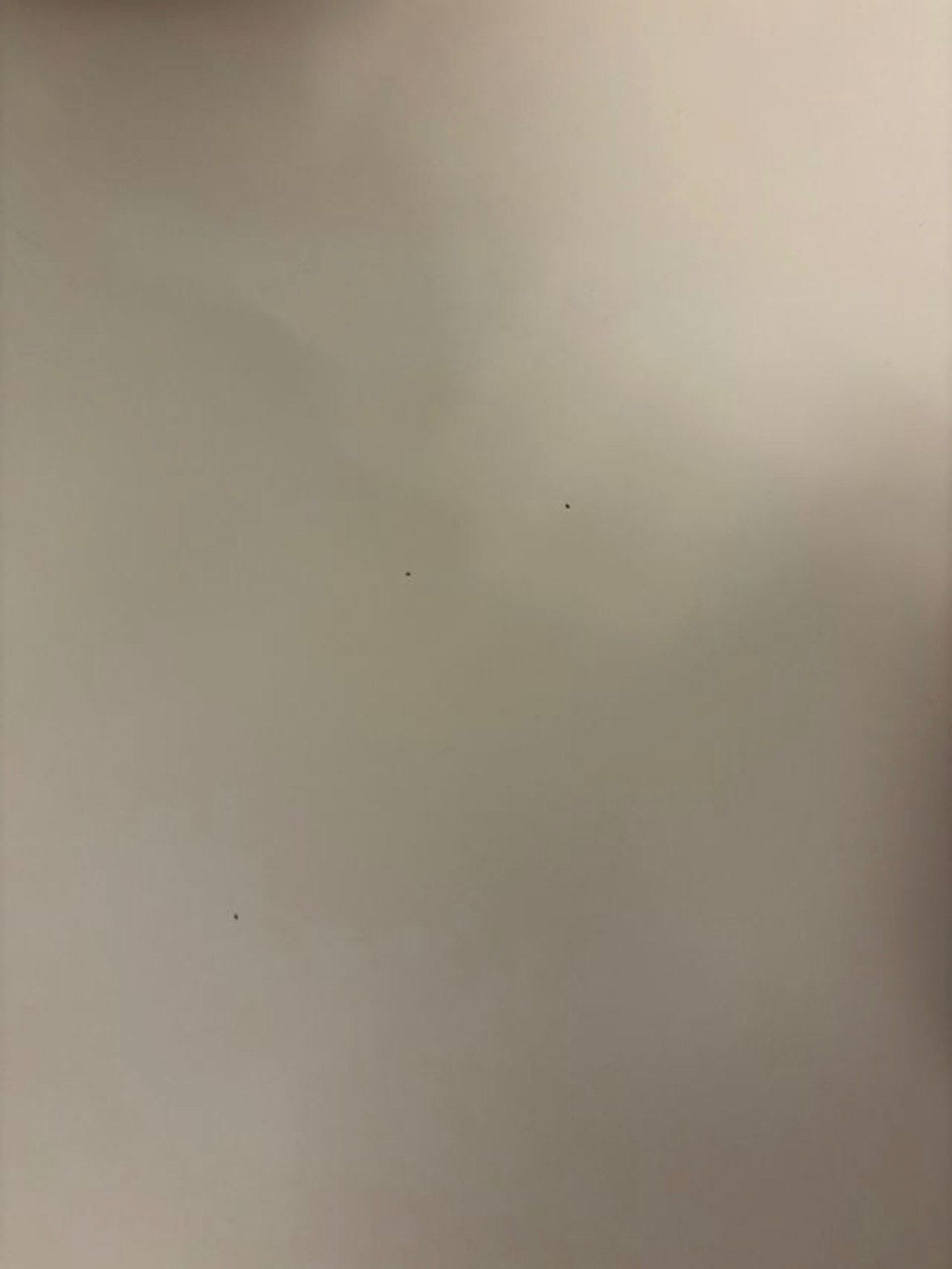 Fotografia del venedor
