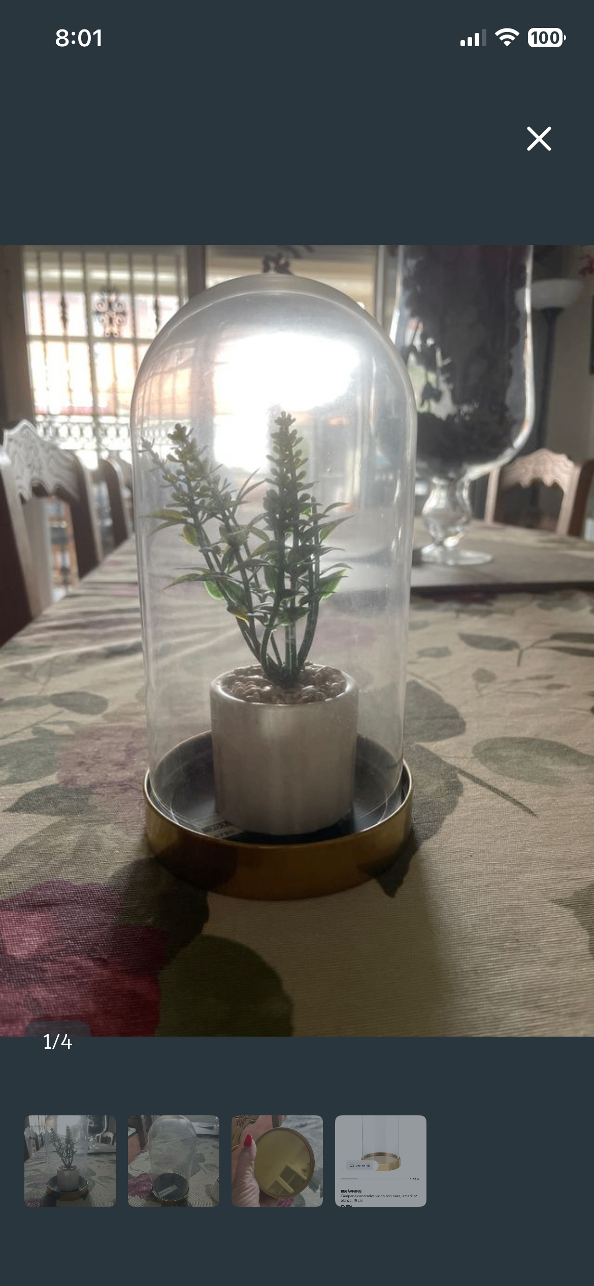 Fotografia del venedor
