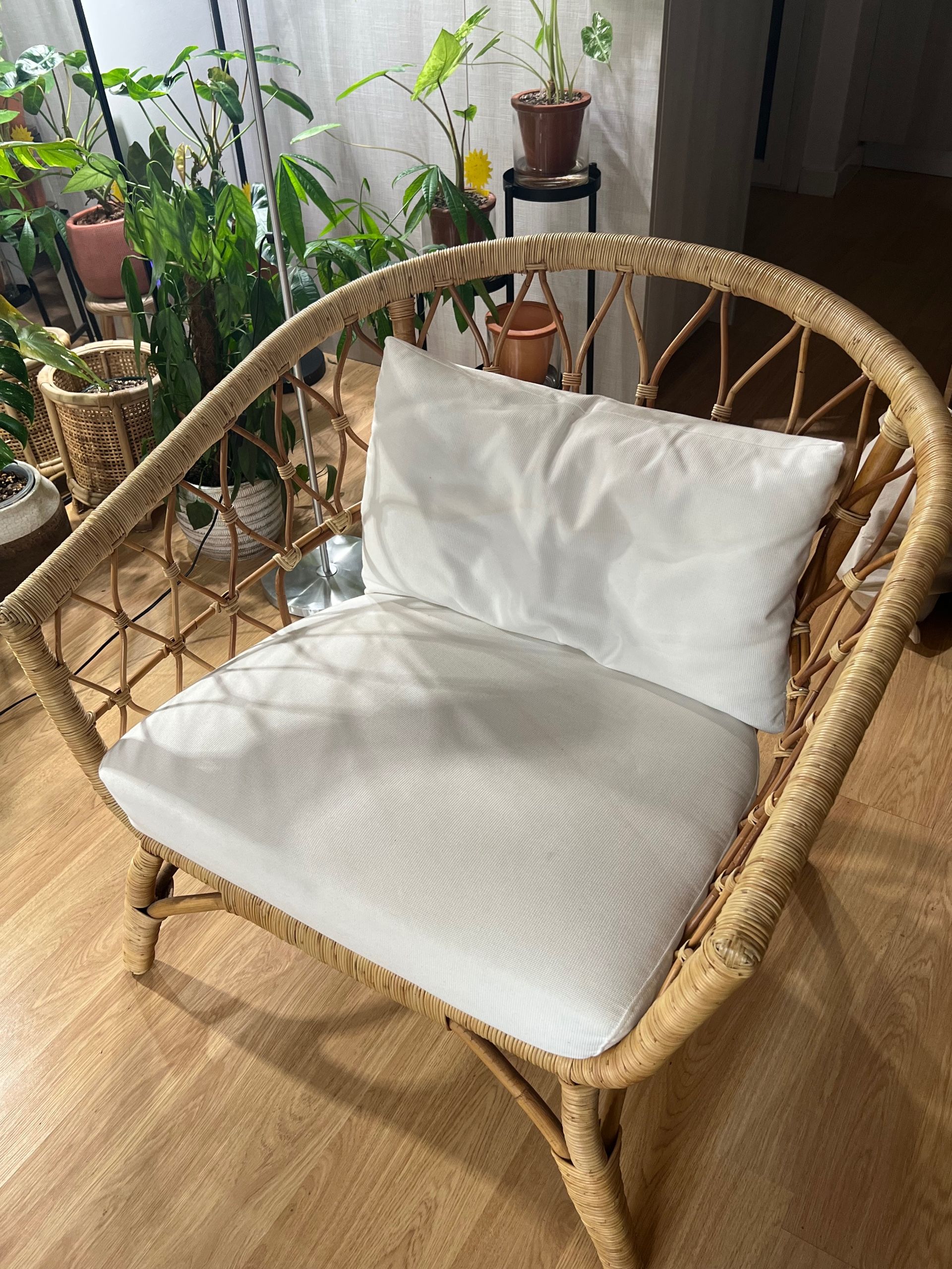 Seller photo