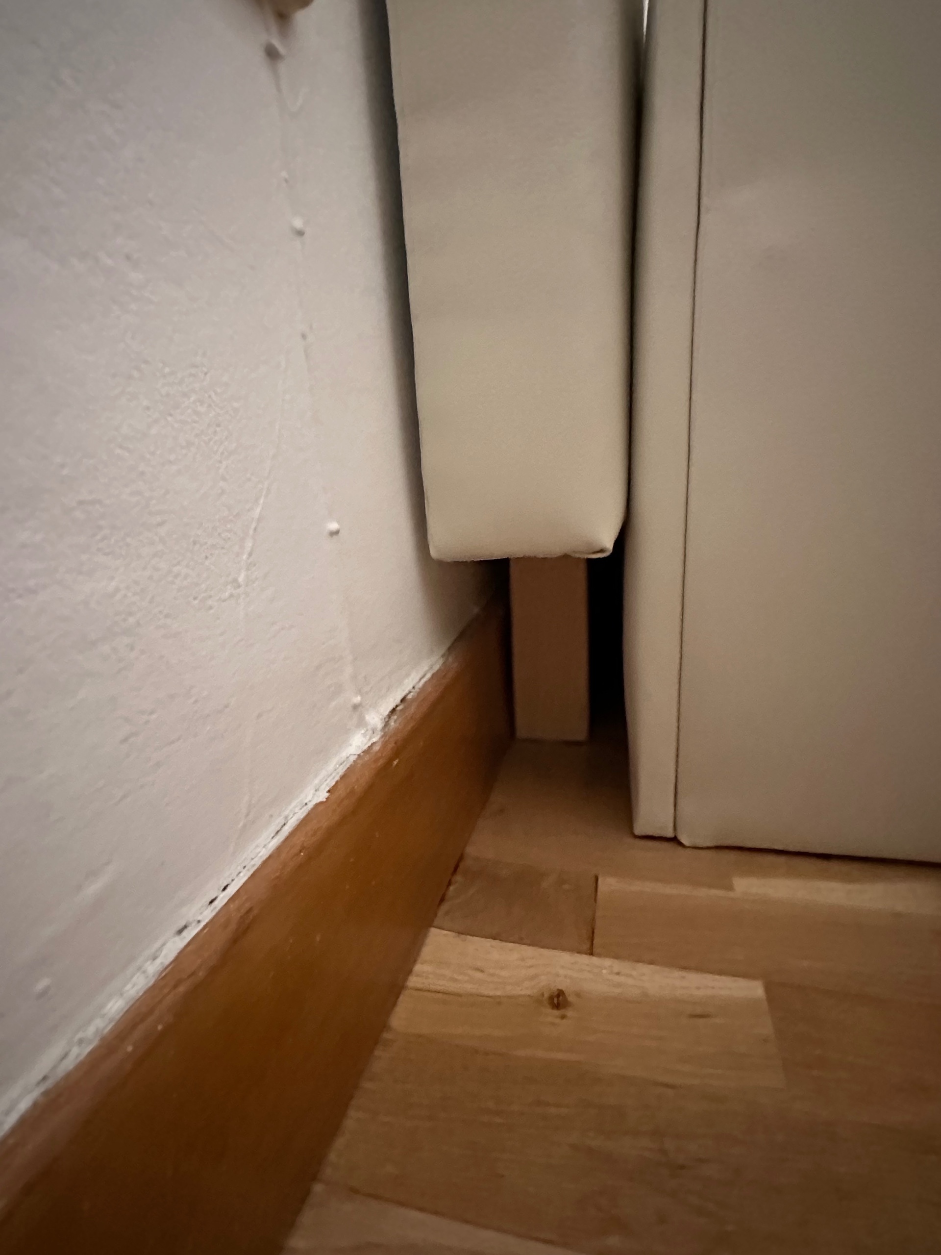 Fotografia del venedor