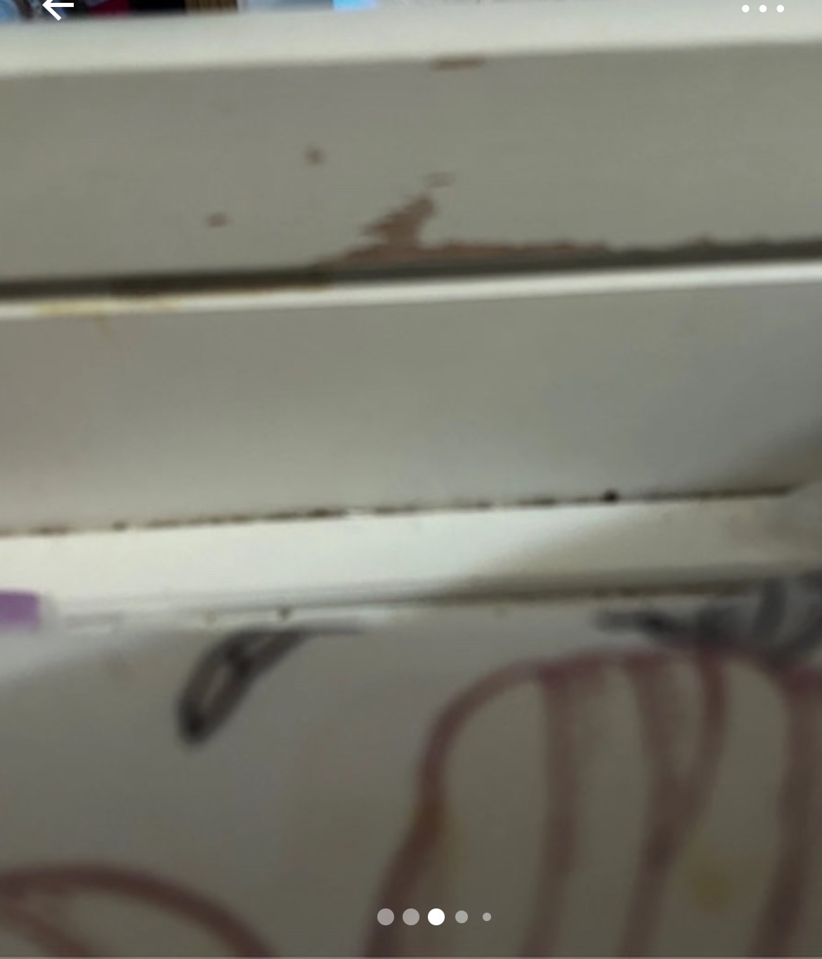 Foto do vendedor