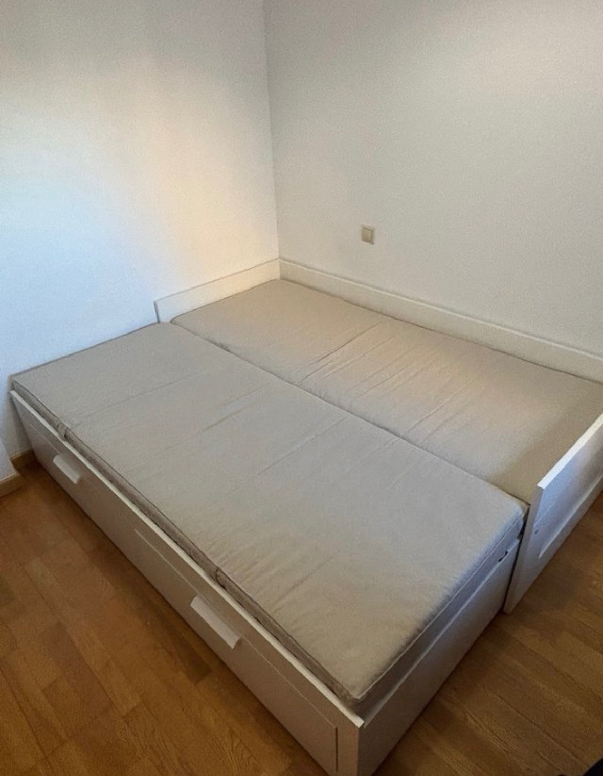 Foto del vendedor