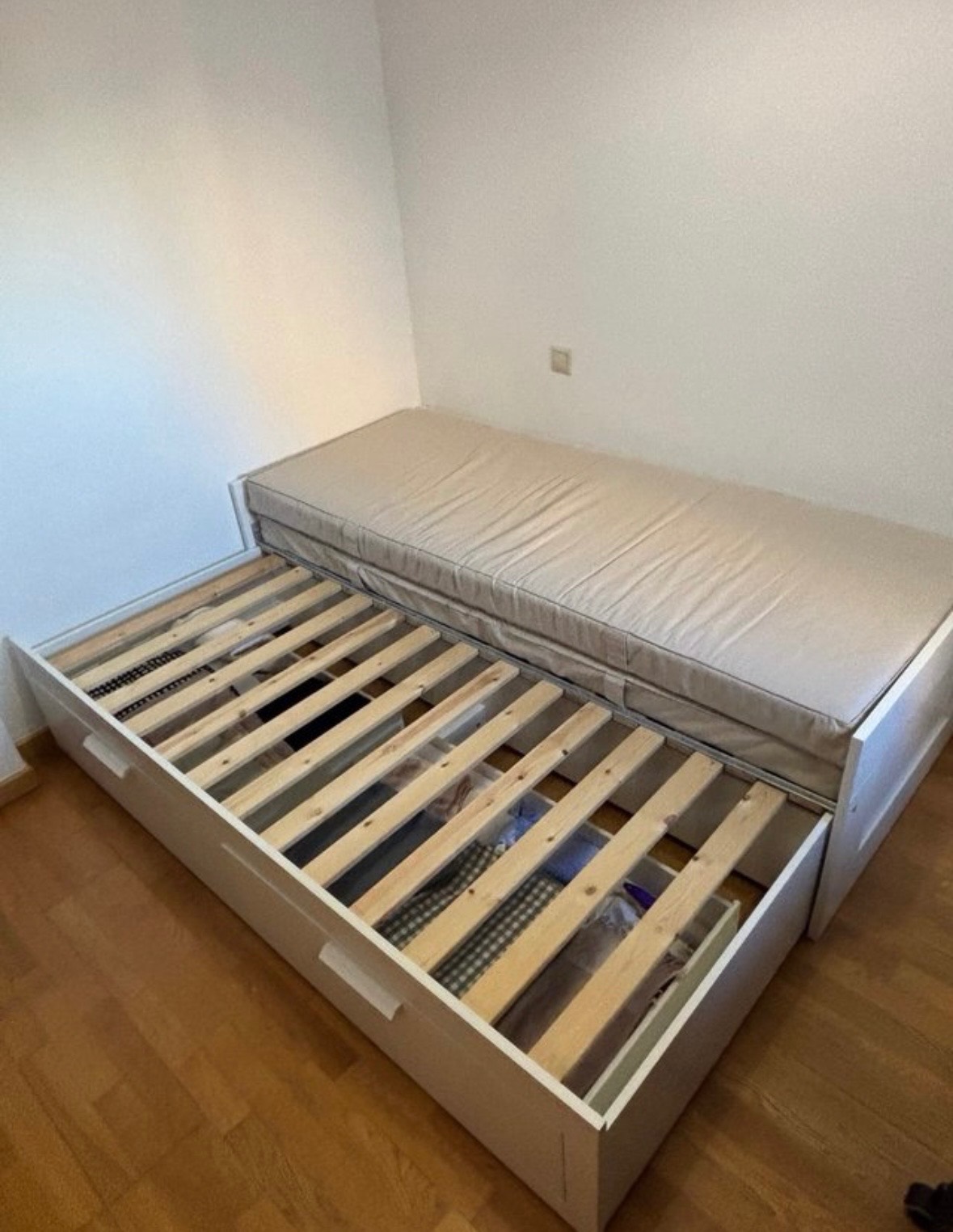 Foto del vendedor