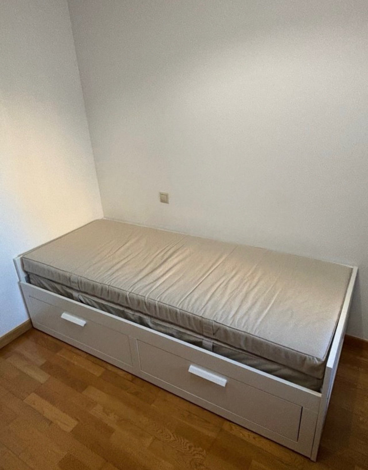 Foto del vendedor