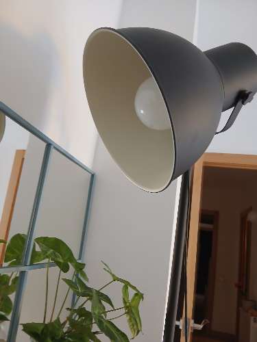 Fotografia del venedor