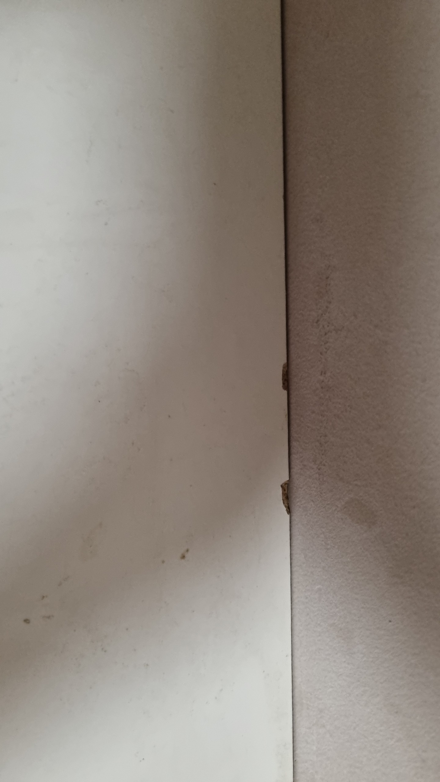 Fotografia del venedor