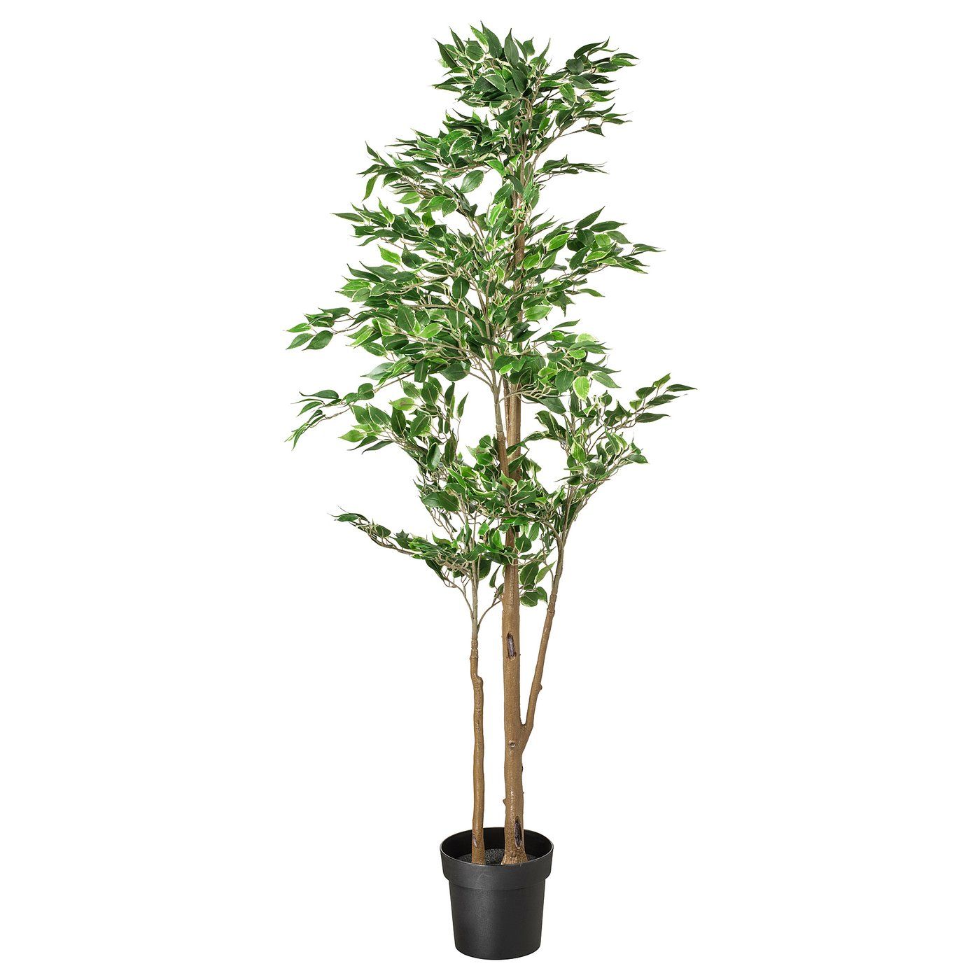 IKEA katalogoaren irudia