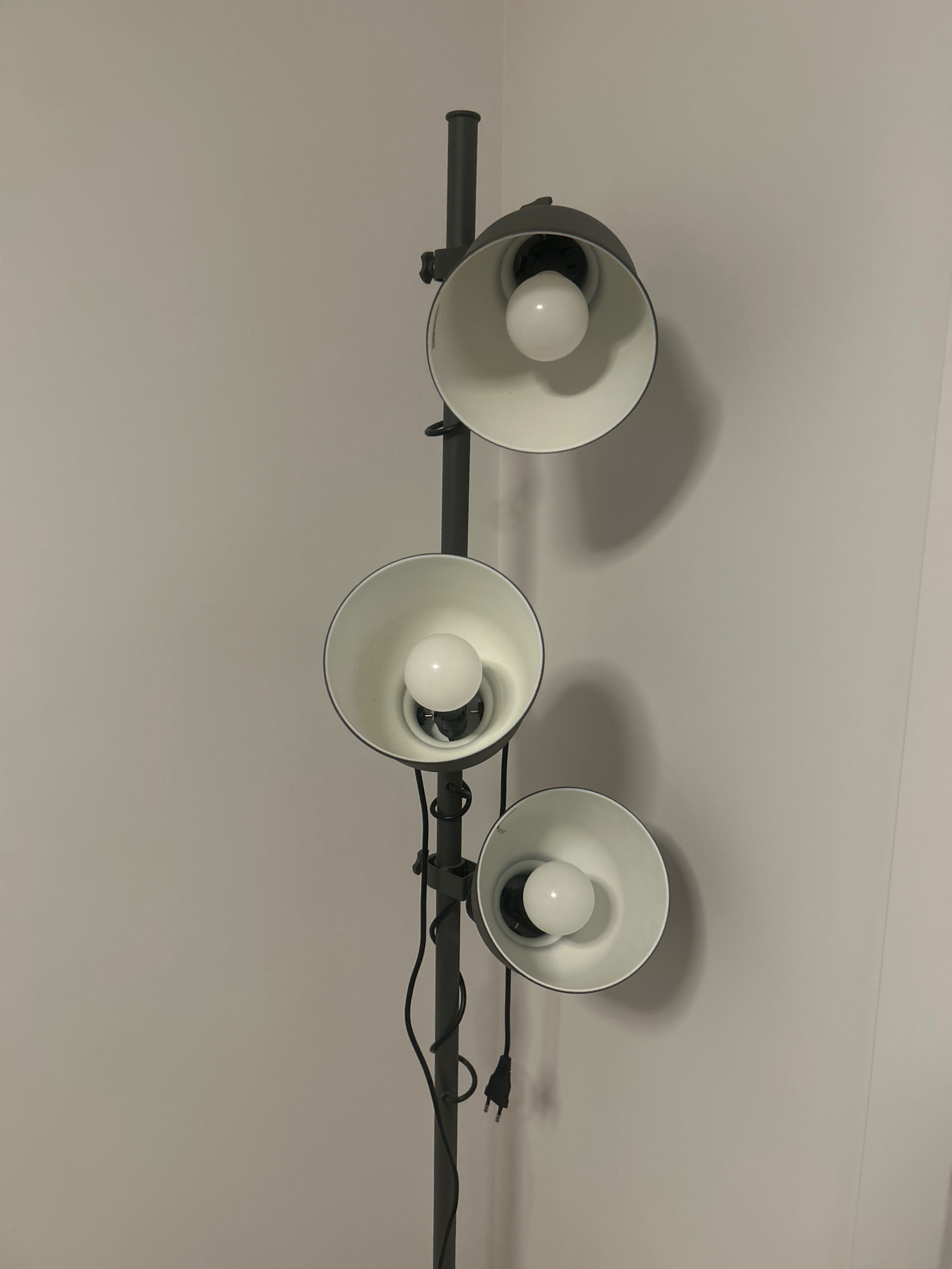 Fotografia del venedor