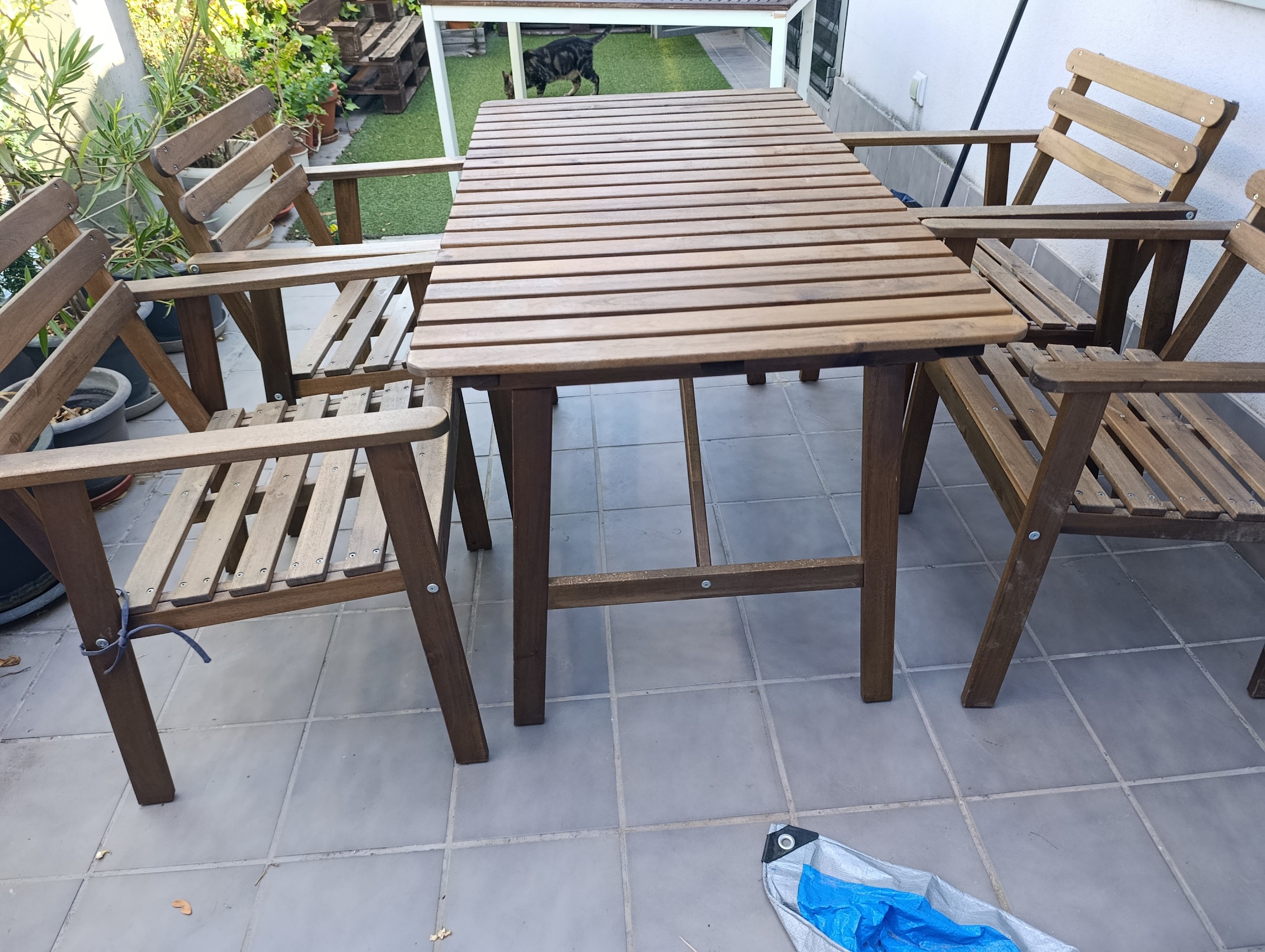 Foto do vendedor