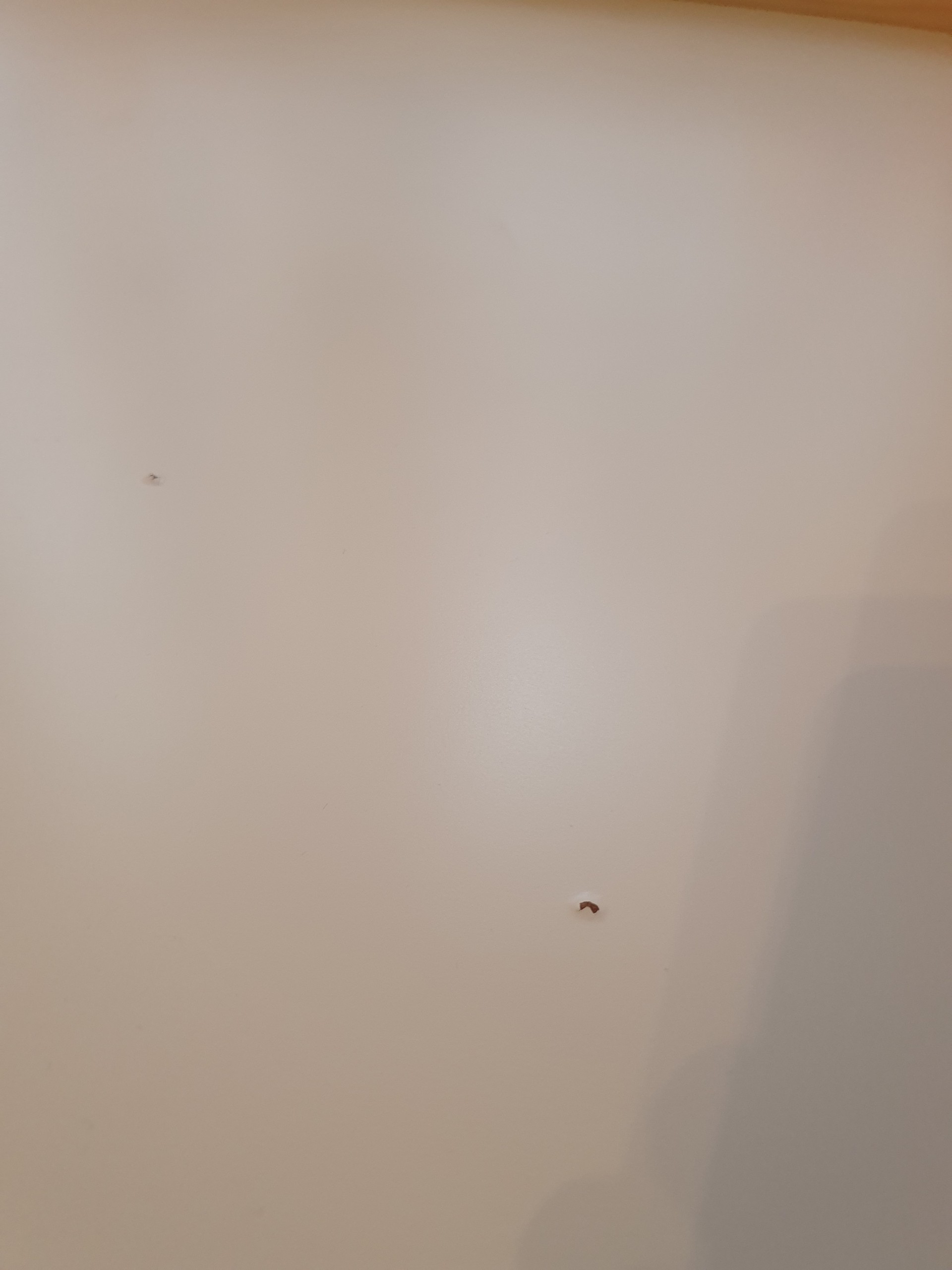 Foto do vendedor